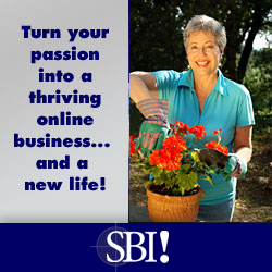 Bored With Your Business? Passion Pays. Let SBI show you how!