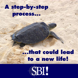 SBI! CTPM Process